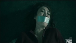 The Cleaning Lady - Season 04 Episode 06